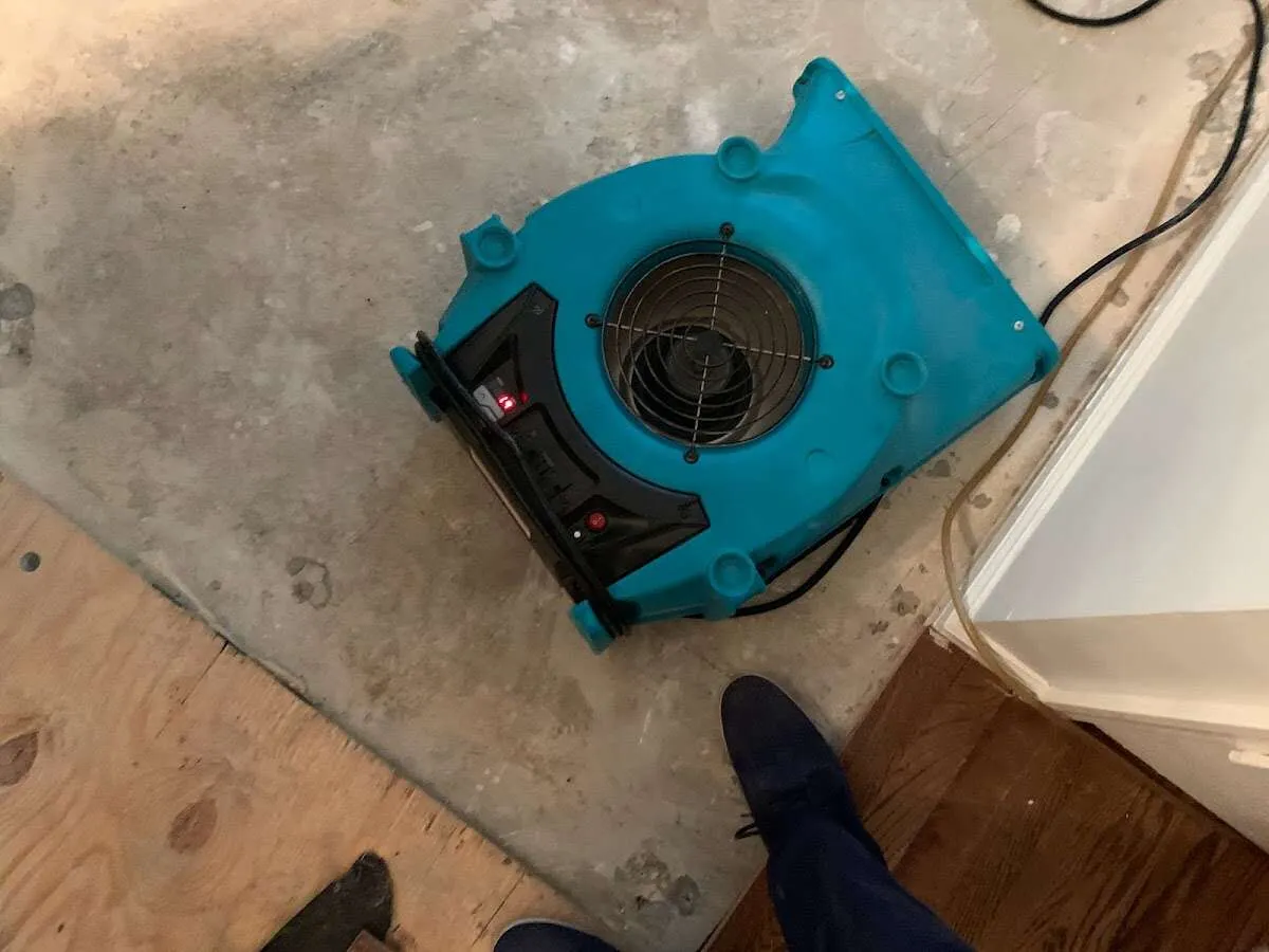 Air mover drying subfloor during Commercial Water Damage Restoration in Schuylkill Haven